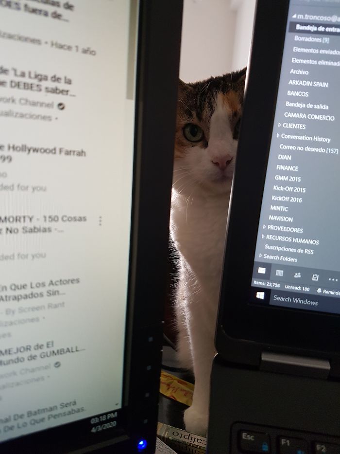 No Worries! I'm Just Supervising!