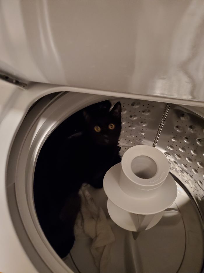 He Thinks Everyplace Is An Adventure Waiting To Be Explored