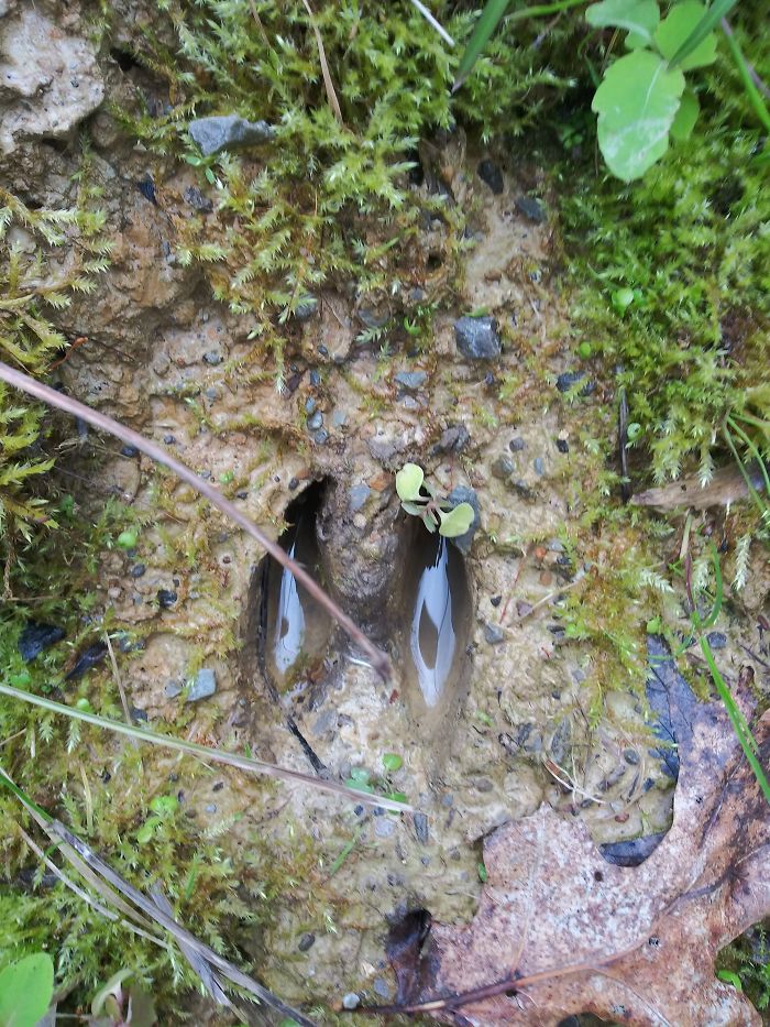 I Hiked More, Probably Lost 10 Pounds, Found Beautiful Things To Take Pictures Of In My Woods, Talked With Old Friends, And Had A Heat Stroke Which I Don't Know If That Belongs On This Thread But Oh Well.