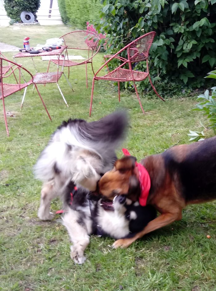 Yogi Force Is Strong With This One