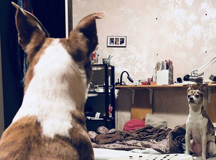 Looking In The Mirror