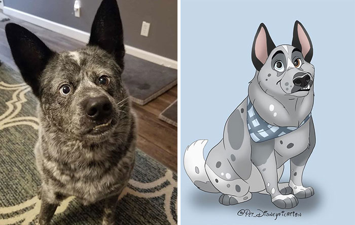 Artist-Turns-Pets-Disney-Characters-Pet-Disneyfication
