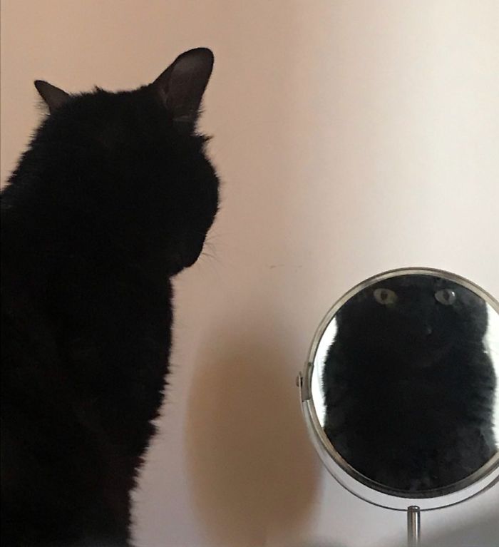 Looking In The Mirror