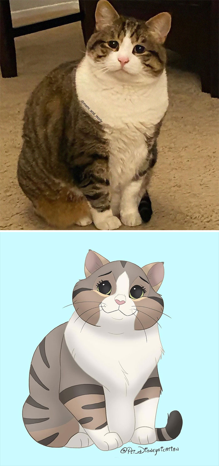 Artist-Turns-Pets-Disney-Characters-Pet-Disneyfication