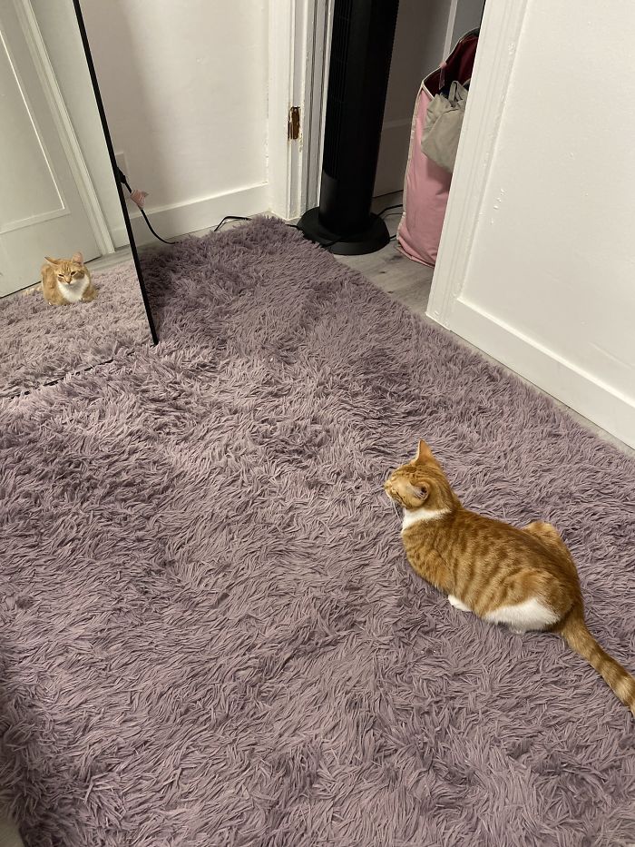 Looking In The Mirror