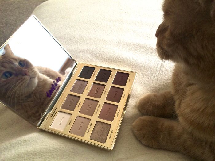 Looking In The Mirror