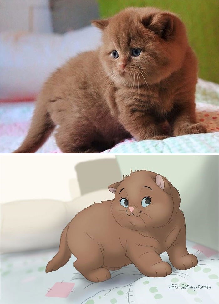 Artist-Turns-Pets-Disney-Characters-Pet-Disneyfication