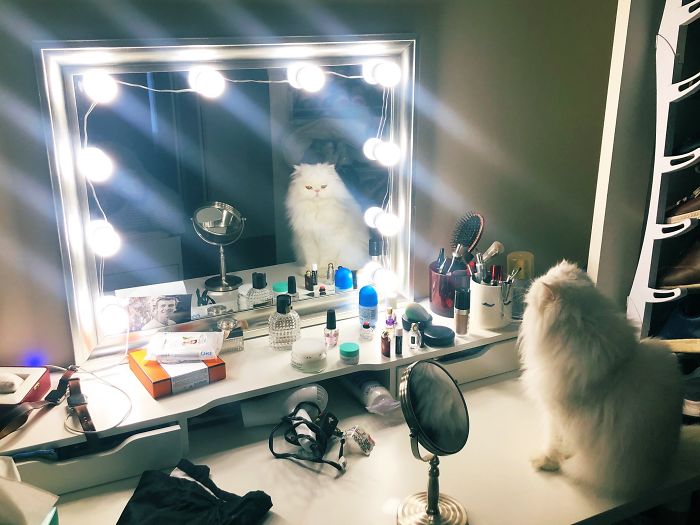 Looking In The Mirror