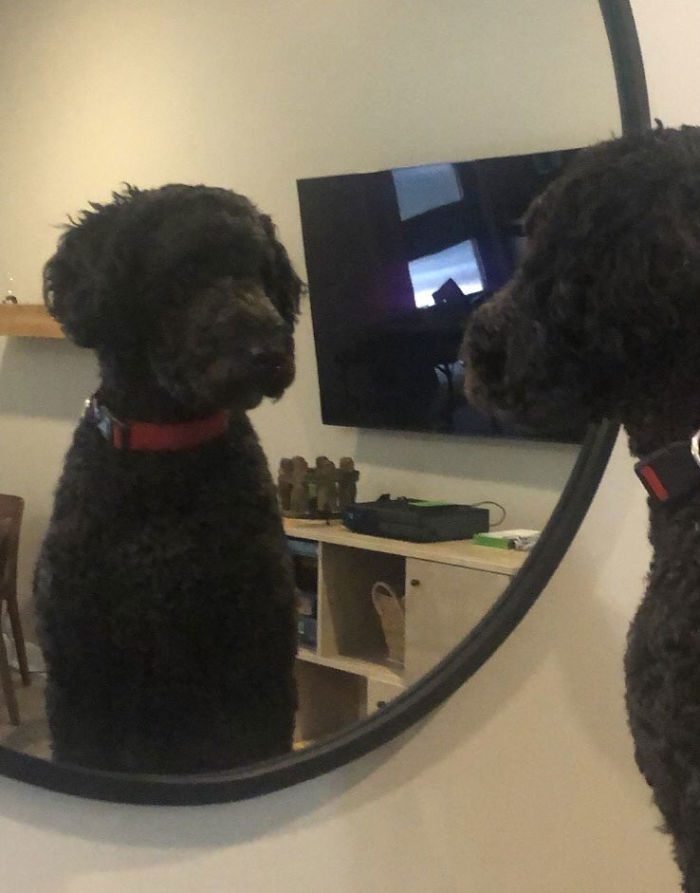 Looking In The Mirror