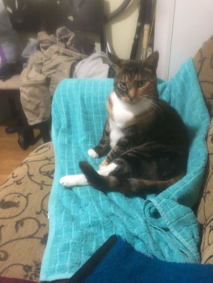 She Likes To Pose For The Camera. Such A Model