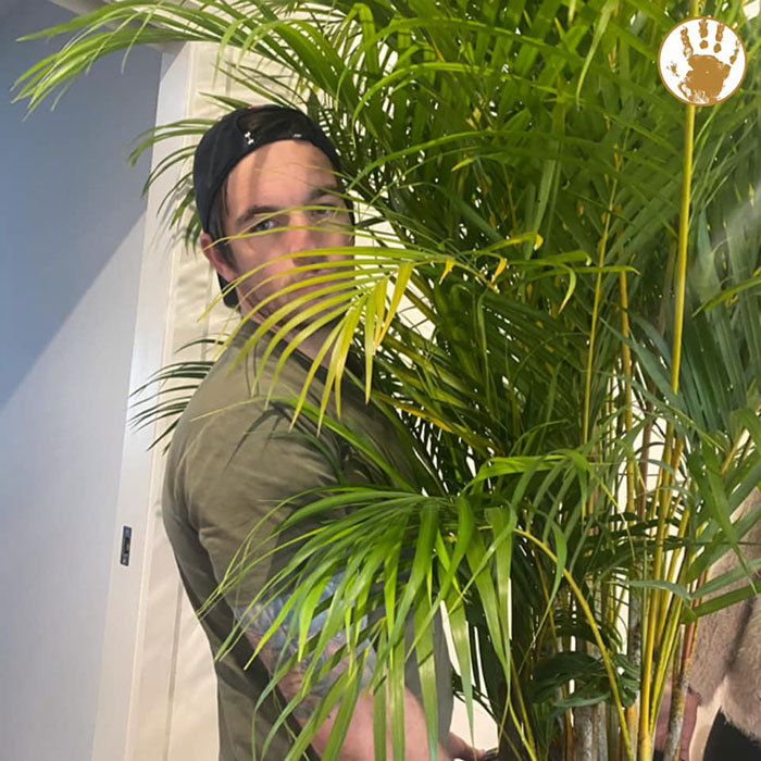 Husband Can't Handle His Wife's 'Jurassic'-Sized Plants, Shares A Hilarious Rant As A Response Husband Can't Handle His Wife's 'Jurassic'-Sized Plants, Shares A Hilarious Rant As A Response