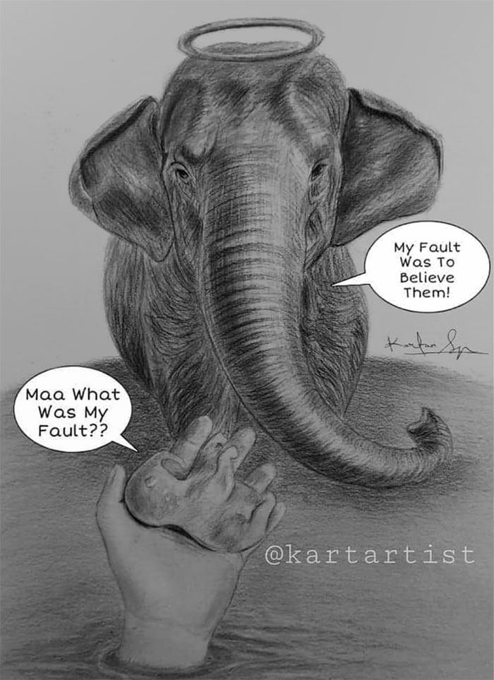 Pregnant-Elephant-Dies-Eats-Pineapple-Filled-With-Firecrackers-Artists-Pay-Tribute