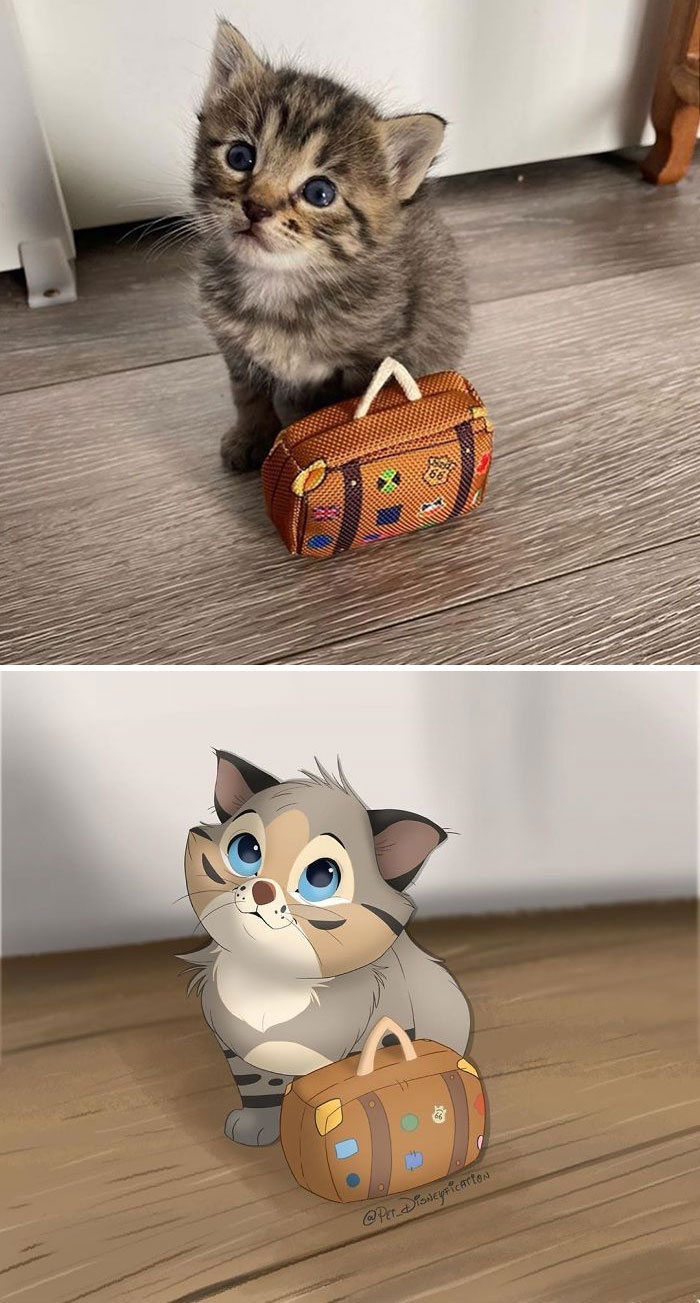 Artist-Turns-Pets-Disney-Characters-Pet-Disneyfication