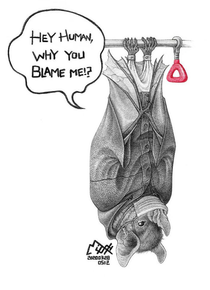 Artist Shows Shocking Illustrations About Animal Abuse That Many Humans Will Surely Be Ashamed Of