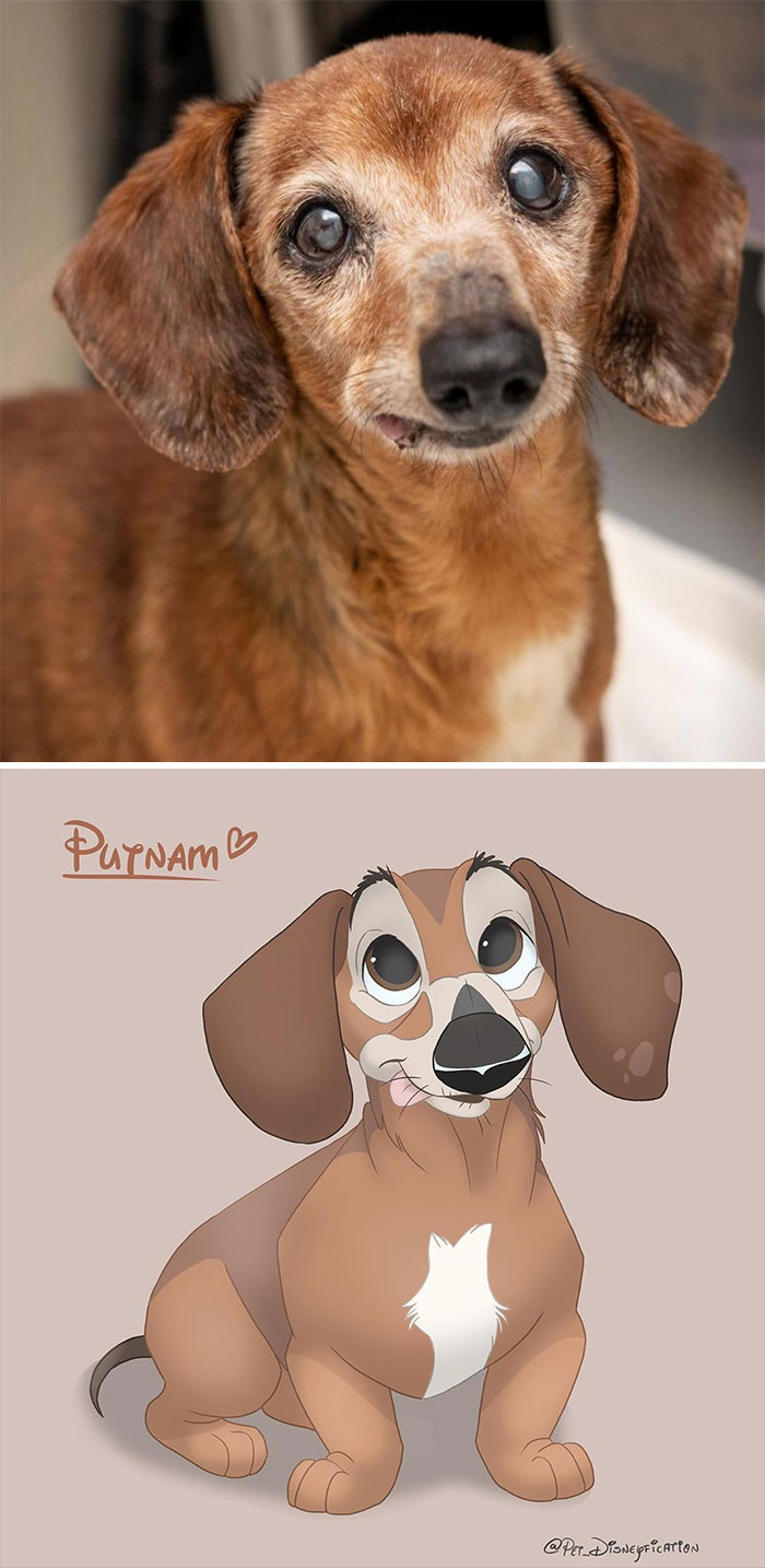 Artist-Turns-Pets-Disney-Characters-Pet-Disneyfication