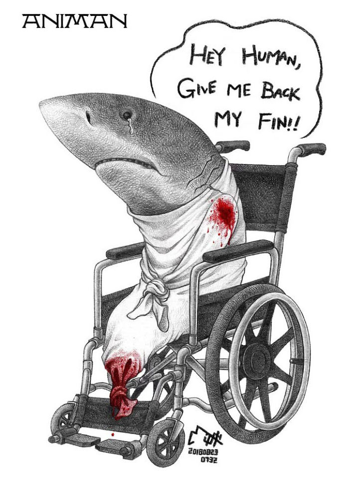 Artist Shows Shocking Illustrations About Animal Abuse That Many Humans Will Surely Be Ashamed Of