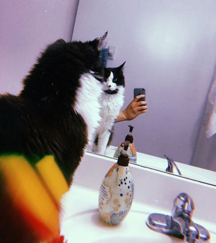 Existential Crisis In Full Effect