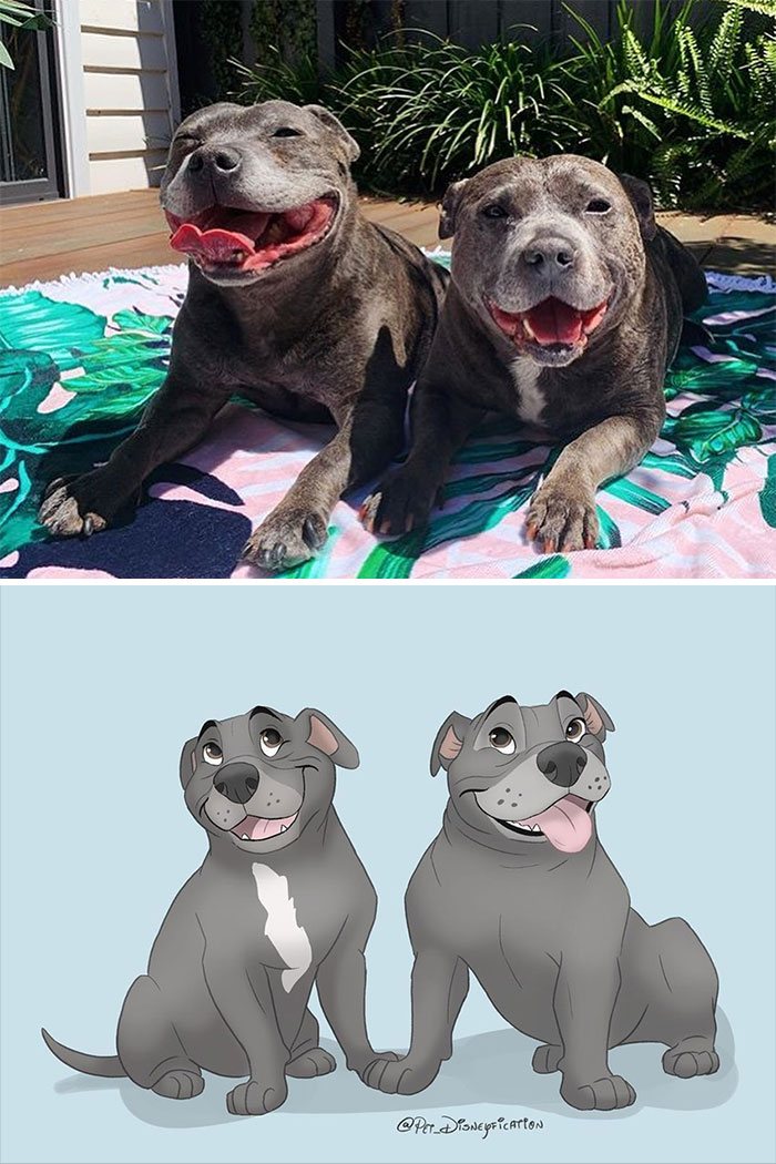 Artist-Turns-Pets-Disney-Characters-Pet-Disneyfication