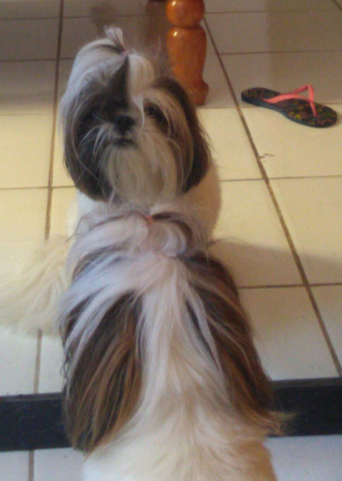 Looking In The Mirror