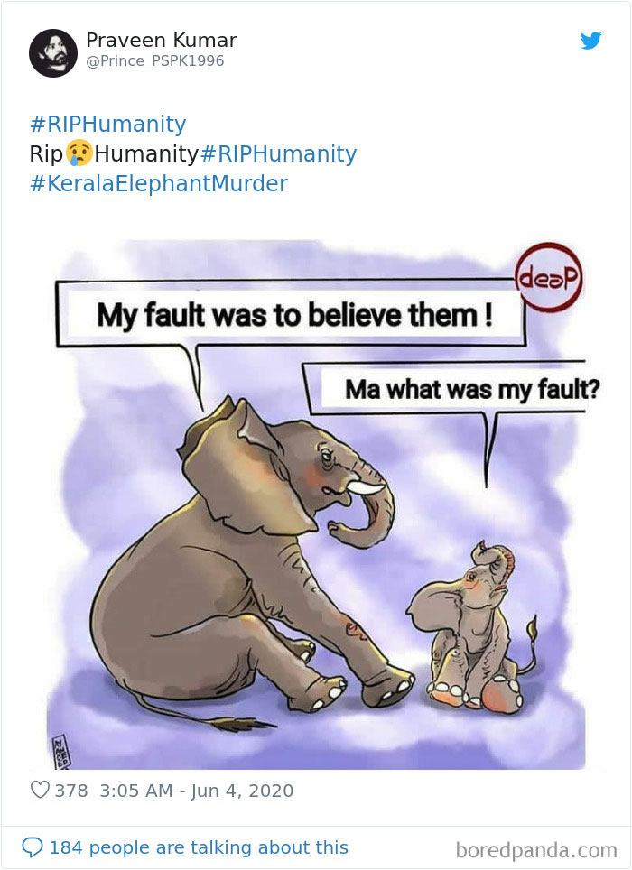 Pregnant-Elephant-Dies-Eats-Pineapple-Filled-With-Firecrackers-Artists-Pay-Tribute