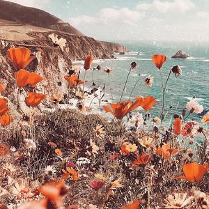 morganrathjen avatar