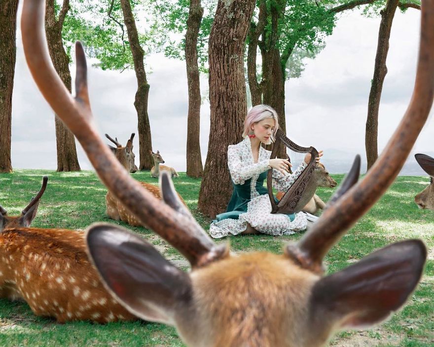 Weird-Instagram-Photography-Digital-Art-Ellen-Sheidlin