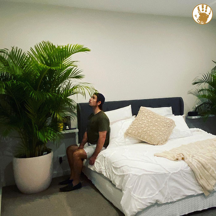 Husband Can't Handle His Wife's 'Jurassic'-Sized Plants, Shares A Hilarious Rant As A Response Husband Can't Handle His Wife's 'Jurassic'-Sized Plants, Shares A Hilarious Rant As A Response