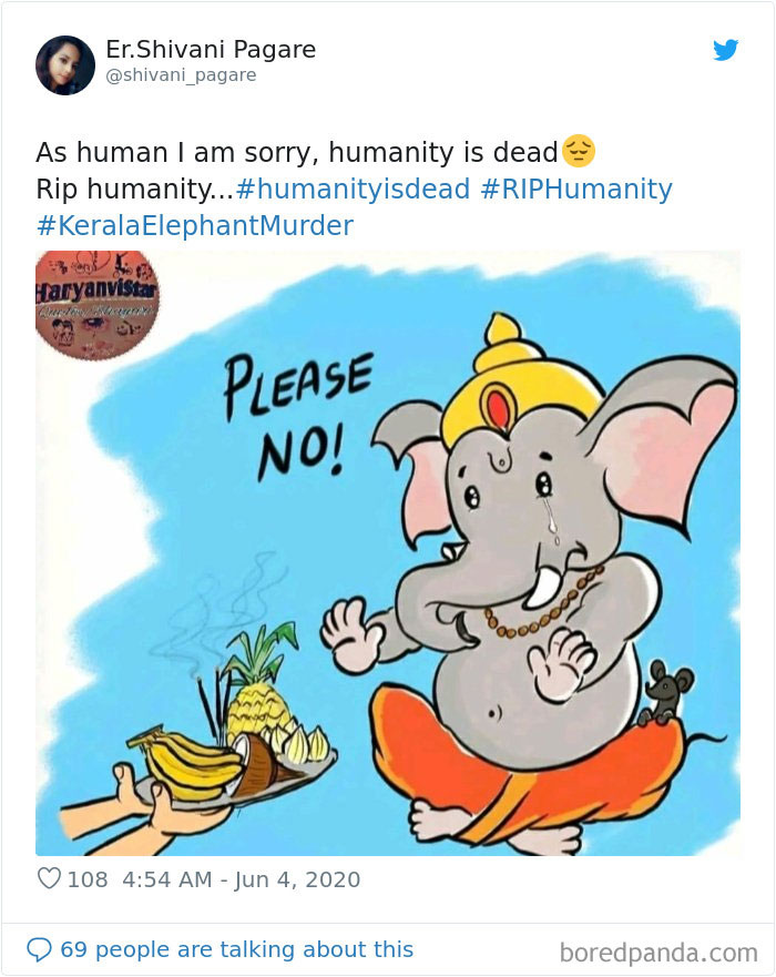 Pregnant-Elephant-Dies-Eats-Pineapple-Filled-With-Firecrackers-Artists-Pay-Tribute