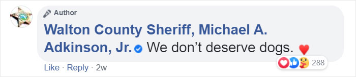 "We Don't Deserve Dogs": Missing Autistic Toddler Found In The Care Of His Family's Dogs "We Don't Deserve Dogs": Missing Autistic Toddler Found In The Care Of His Family's Dogs