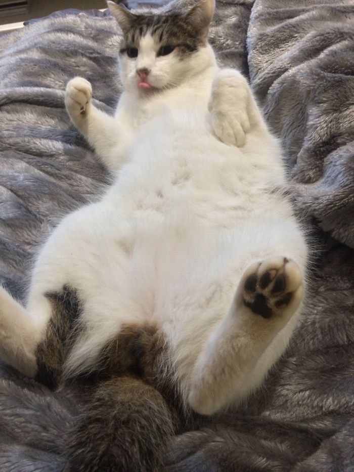 Caught Him By Surprise