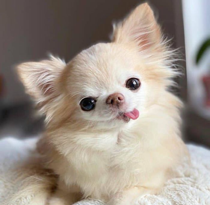 Felt Cute, Might Delete Later :p