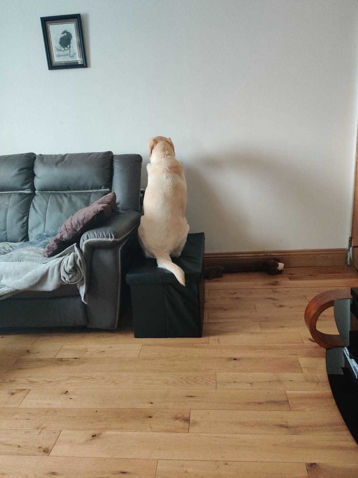 I Am Being Guilt Tripped Because I Cannot Play And Need To Work From Home. This Is High Level Manipulation.