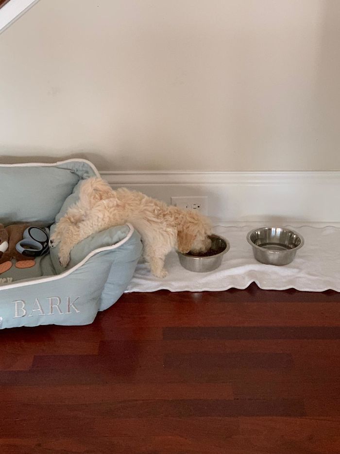 I Don’t Want To Get Out Of Bed To Eat!