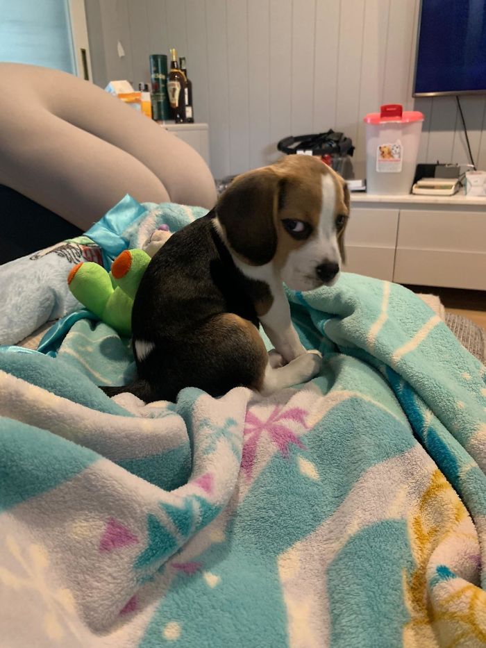 She Just Bit My Finger & I Was Not Happy About It!