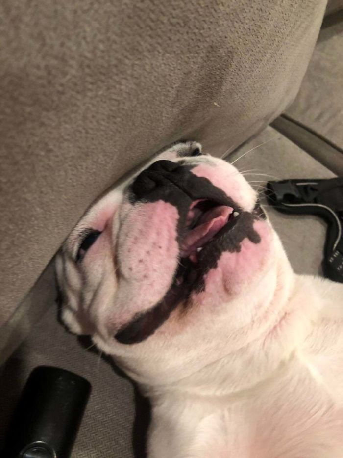 Have A Chill Day, Bro’s!