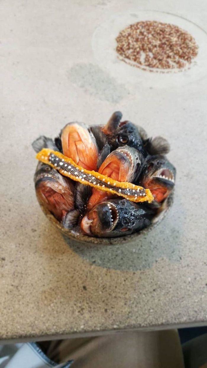 Just Some Food Served On Unedible Dead Fish