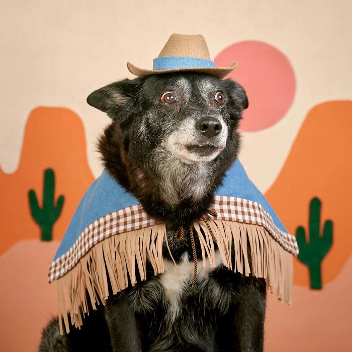 Had Some Professional Shots Taken Of Our Dog.