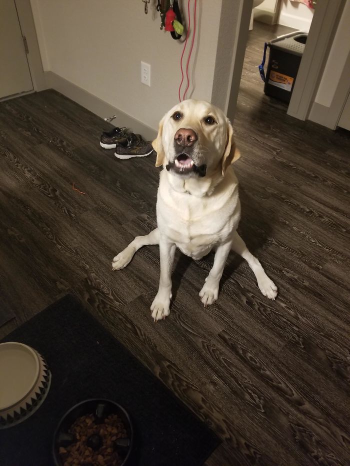 This Is Just How He Sits