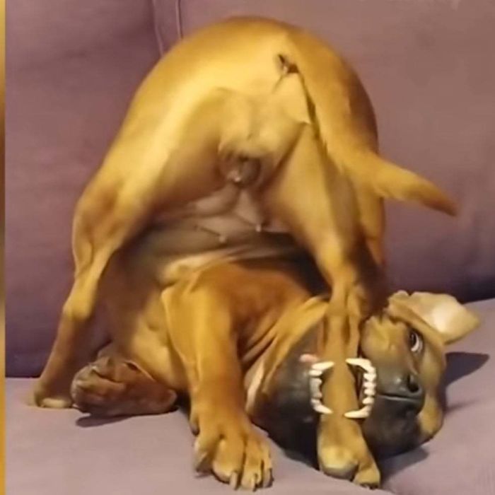 Not The Most Flattering Angle, But.....