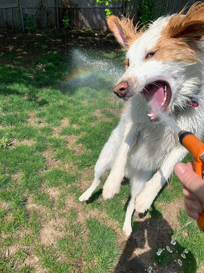 Taste The Rainbow 🌈