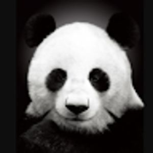 gracestuck-middlemiss avatar