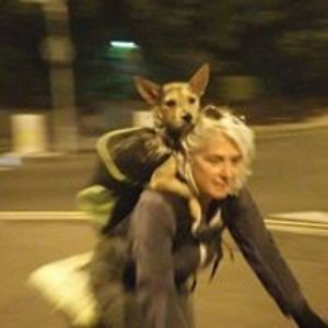 dorlon_dutton avatar