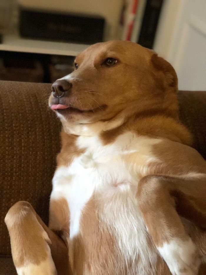 She Sits Like This All The Time