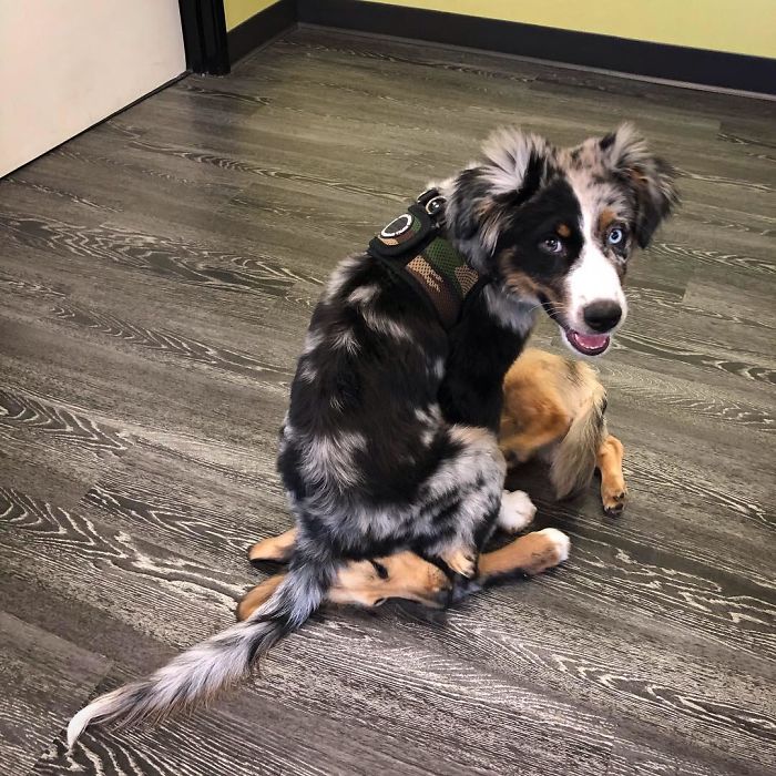 Look Dad I'm Making Friends!