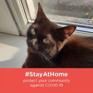 keira_de-natale avatar