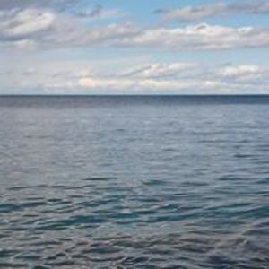 justin_seagull avatar