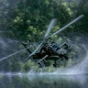 marinaheilman_1 avatar