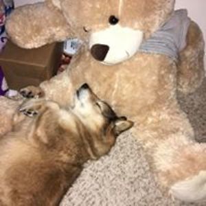 q-2marketingltd avatar