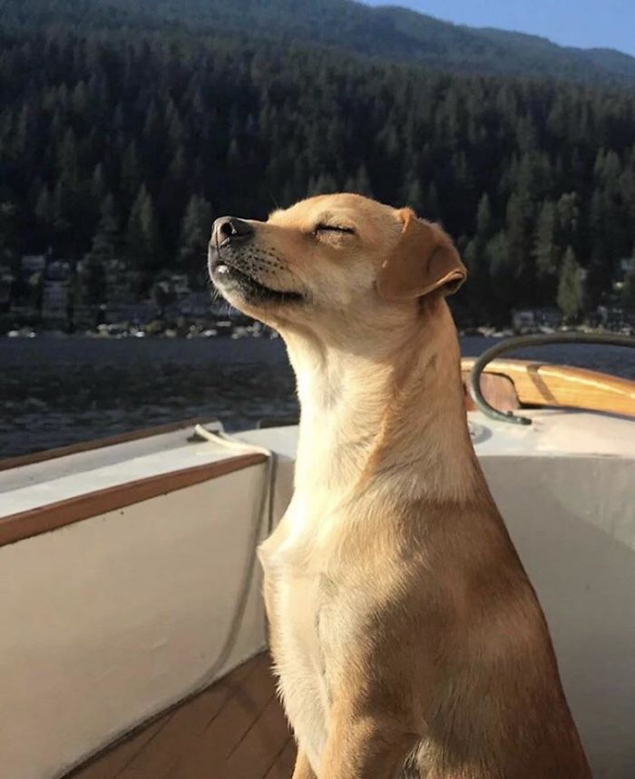 I’ll Soak In All The Sun