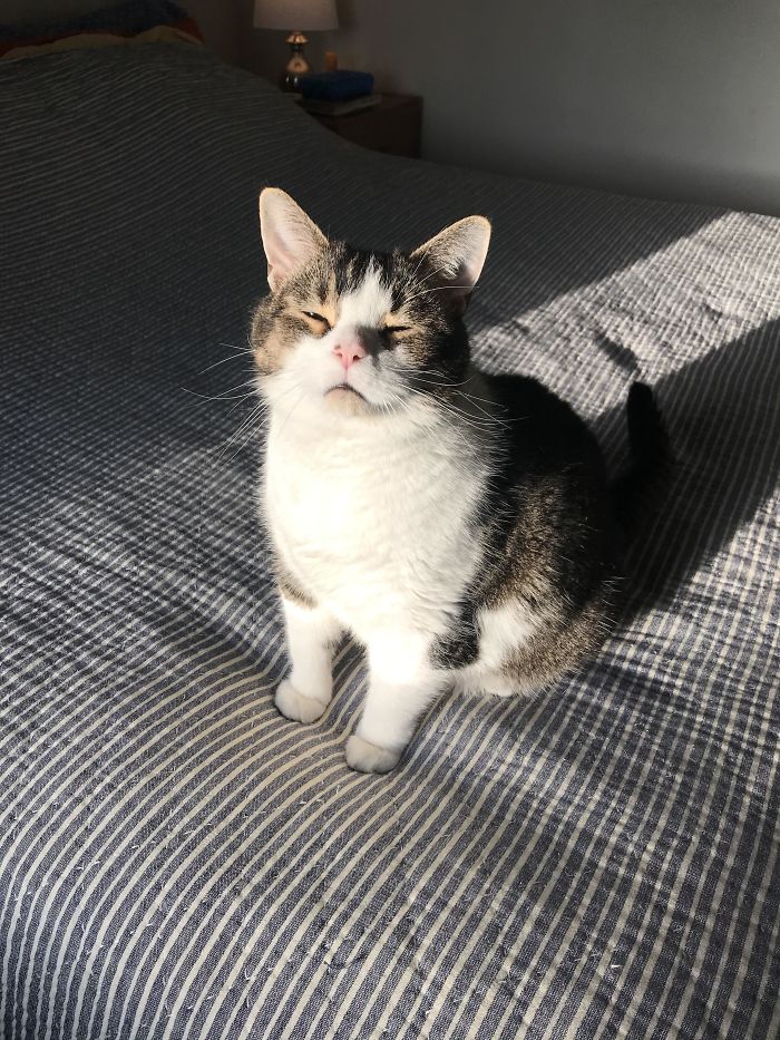 This Nerd Loves The Sun